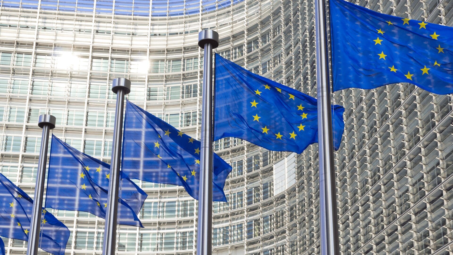 EU flags